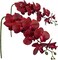 Artificial Phalaenopsis Flowers Branches 9 Large Blooms Artificial Orchid Flowers Stem Plants 42 Inches 2 Pcs for Home Wedding Décor (Red)